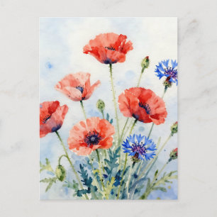 Carte Postale Bouquet de coquelicot rouge aquarelle et de bleuet