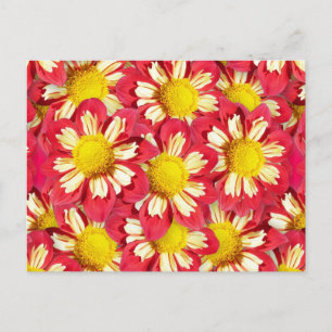 Carte Postale Bouquet de dahlias - corail et blanc avec jaune