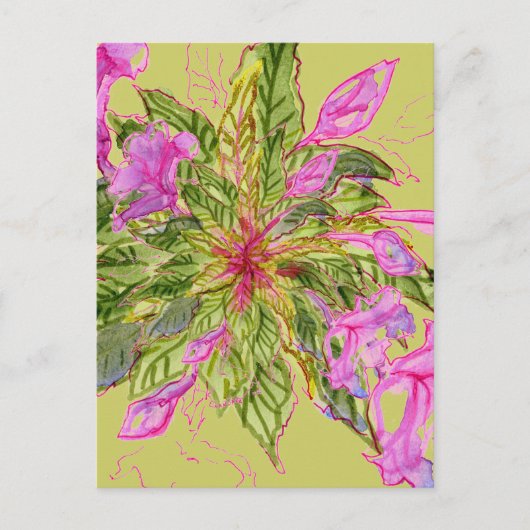 Carte Postale Bouquet de fleurs de baume rose sur vert (Devant)