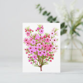 Carte postale Bouquet de fleurs de cire (Debout devant)