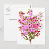 Carte postale Bouquet de fleurs de cire (Devant / Derrière)