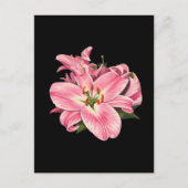 Carte Postale Bouquet de fleurs de lys rose (Devant)