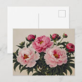 Carte Postale Bouquet de fleurs de pivoine rose en fleurs (Devant / Derrière)