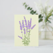 Carte Postale Bouquet de fleurs lavande. (Debout devant)