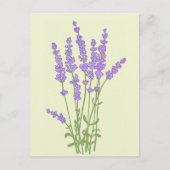 Carte Postale Bouquet de fleurs lavande. (Devant)