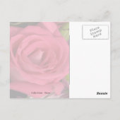 Carte Postale Bouquet de fleurs rose (Dos)