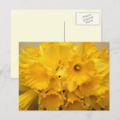 Carte Postale Bouquet de jonquilles (Devant / Derrière)