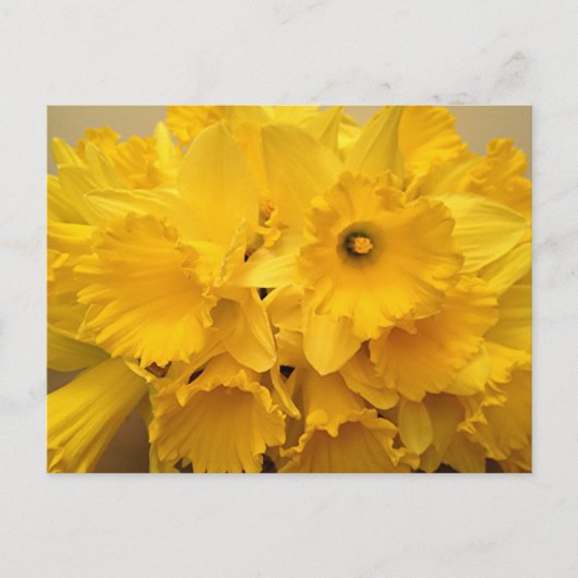 Carte Postale Bouquet de jonquilles (Devant)