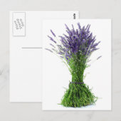 Carte Postale Bouquet de lavande (Devant / Derrière)
