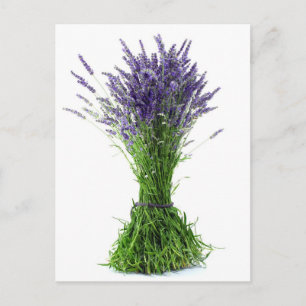 Carte Postale Bouquet de lavande