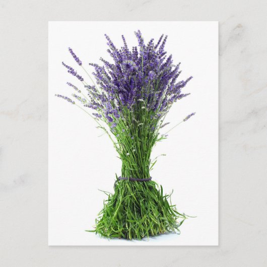 Carte Postale Bouquet de lavande (Devant)