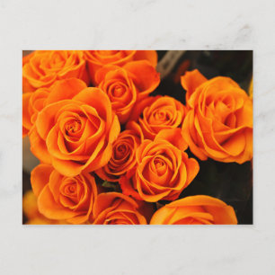 Carte Postale Bouquet de Roses oranges florissants