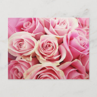Carte Postale Bouquet de roses roses rosées buisson de fleurs ro