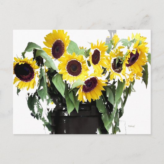 Carte Postale Bouquet de tournesol (Devant)