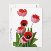 Carte Postale Bouquet de tulipe rose de printemps (Devant / Derrière)