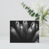 Carte Postale bouquet divertissant (Debout devant)