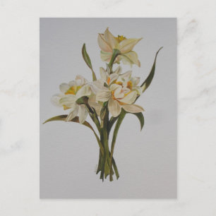 Carte Postale Bouquet Double Narcissi Art Floral