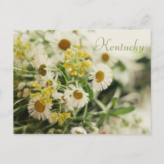 Carte Postale Bouquet fleur sauvage par JerseyFawn