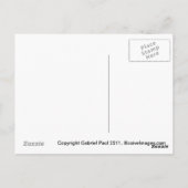 Carte postale Bouquet Garden (Dos)