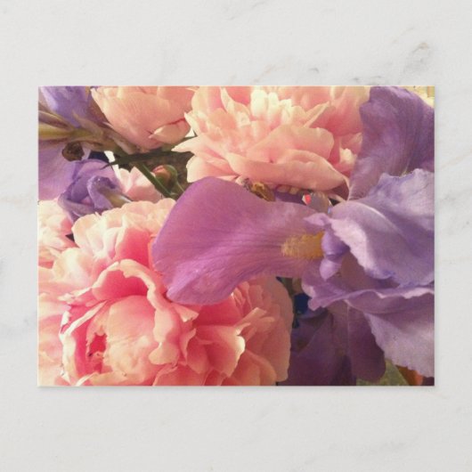 Carte postale Bouquet Garden (Devant)