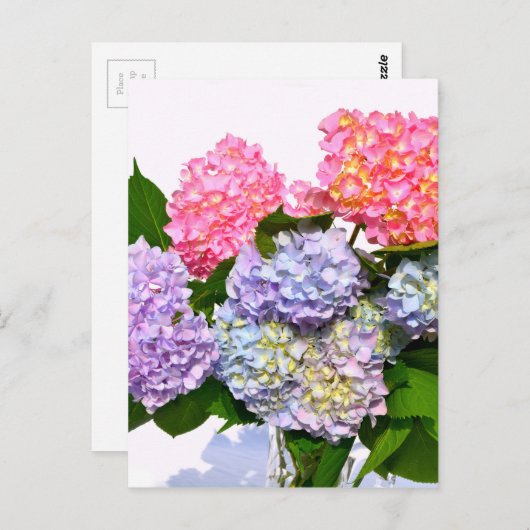 Carte Postale Bouquet Hydrangea (Devant / Derrière)