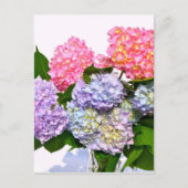 Carte Postale Bouquet Hydrangea (Devant)