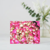 Carte Postale Bouquet Hydrangea rose (Debout devant)