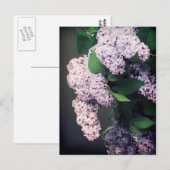 Carte Postale Bouquet Lilac avec Vignette (Devant / Derrière)