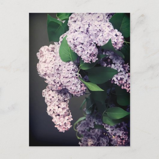 Carte Postale Bouquet Lilac avec Vignette (Devant)