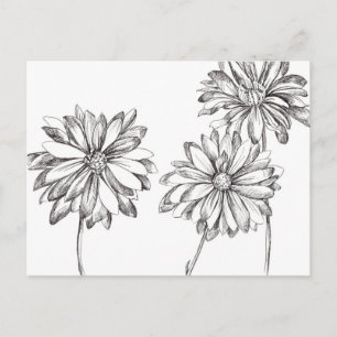 Carte Postale Bouquet noir blanc marguerite Dessin
