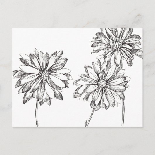 Carte Postale Bouquet noir blanc marguerite Dessin (Devant)