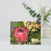 Carte Postale Bouquet Protea (Debout devant)