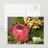 Carte Postale Bouquet Protea (Devant / Derrière)