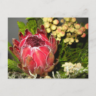 Carte Postale Bouquet Protea