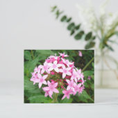 Carte Postale Bouquet rose (Debout devant)