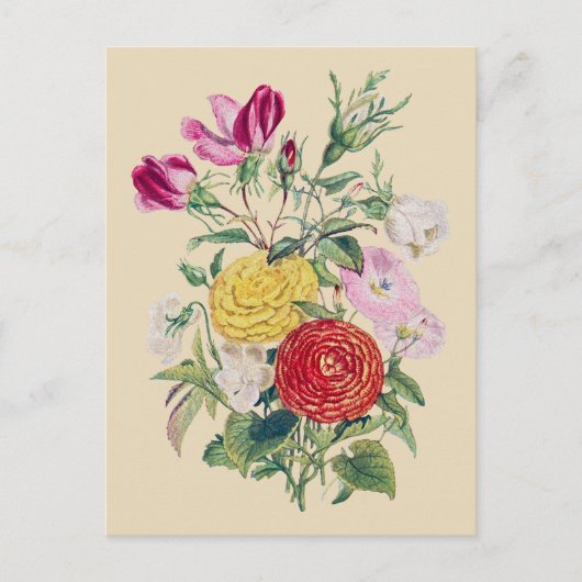 Carte Postale Bouquet - Rose (Devant)