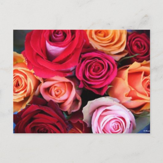 Carte postale Bouquet rose (Devant)