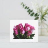 carte postale bouquet rose (Debout devant)