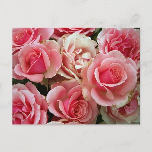 Carte Postale Bouquet Rose rose et crème Fleurs florales (Devant)