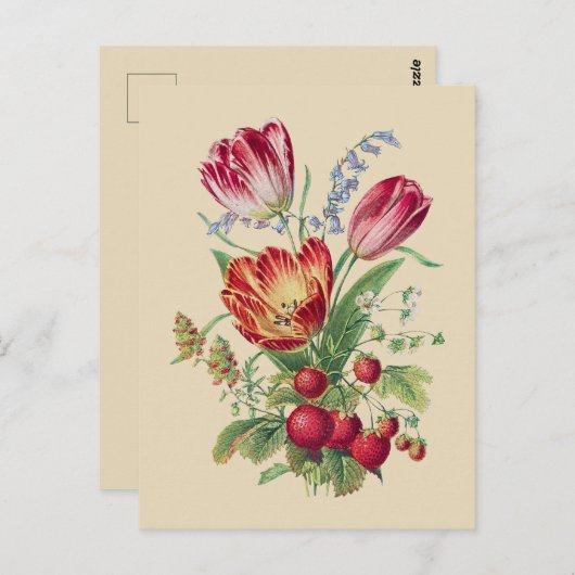 Carte Postale Bouquet - Tulipes (Devant / Derrière)