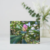 Carte Postale Bourgeon de Fleur de Rhododendron (Debout devant)