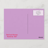 Carte Postale bourgeons rouges (Dos)