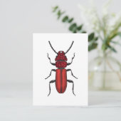 Carte Postale Bousier rouge (Debout devant)