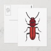 Carte Postale Bousier rouge (Devant / Derrière)