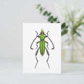 Carte Postale Bousier vert (Debout devant)