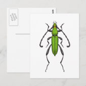 Carte Postale Bousier vert (Devant / Derrière)