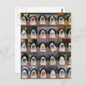 Carte Postale Bouteilles à vin (Devant / Derrière)