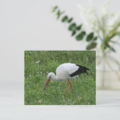 Carte Postale Boutique 3 (Debout devant)