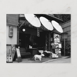 Carte Postale Boutique parapluie japonaise