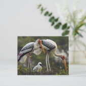 Carte Postale Boutiques peintes & jeune à nid, Keoladeo (Debout devant)